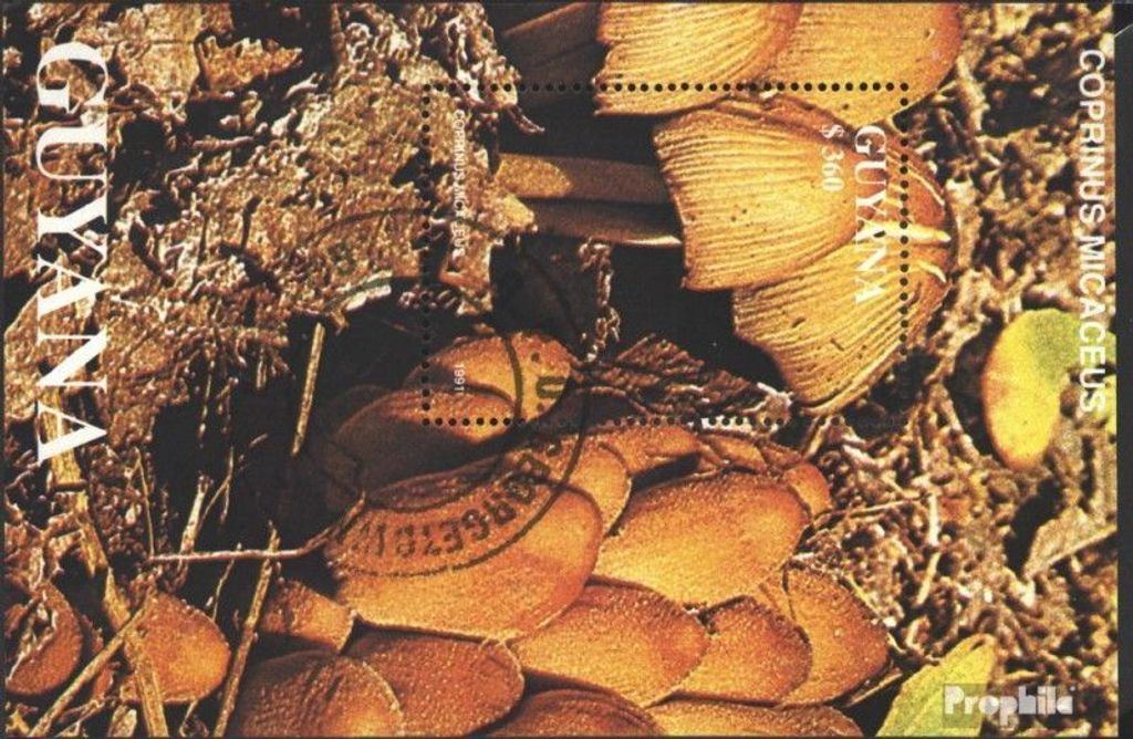 Briefmarken Guyana 1991 Mi Block143 (kompl.Ausg.) gestempelt Pilze