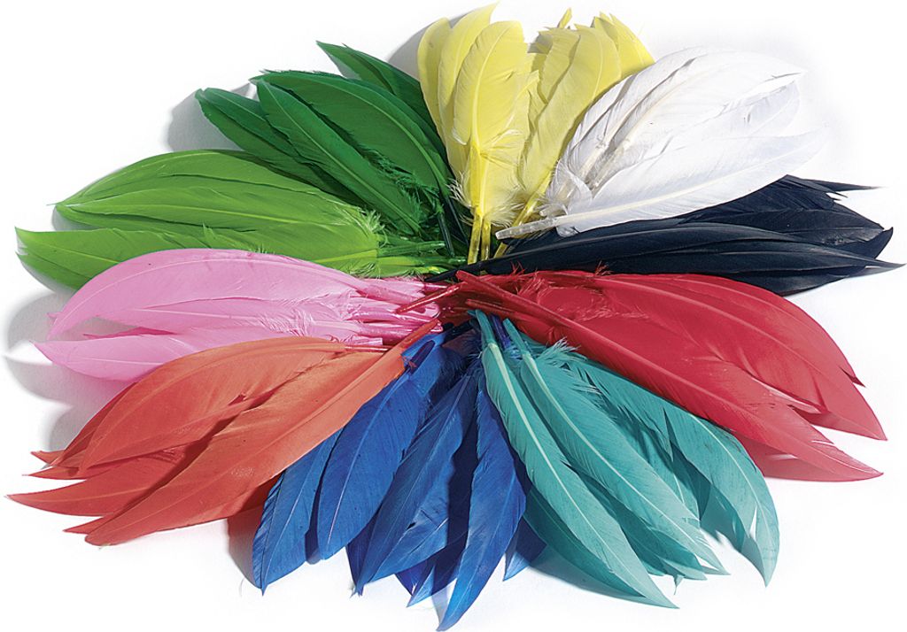 folia Indianerfedern 100 g farbig sortiert Produktbild 