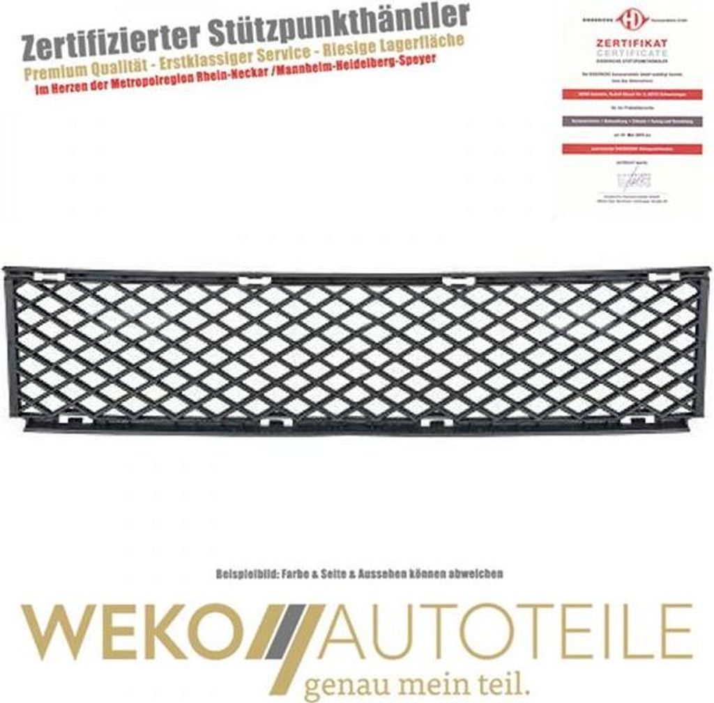 Lüftungsgitter Stoßstange DIEDERICHS 1243145 für BMW