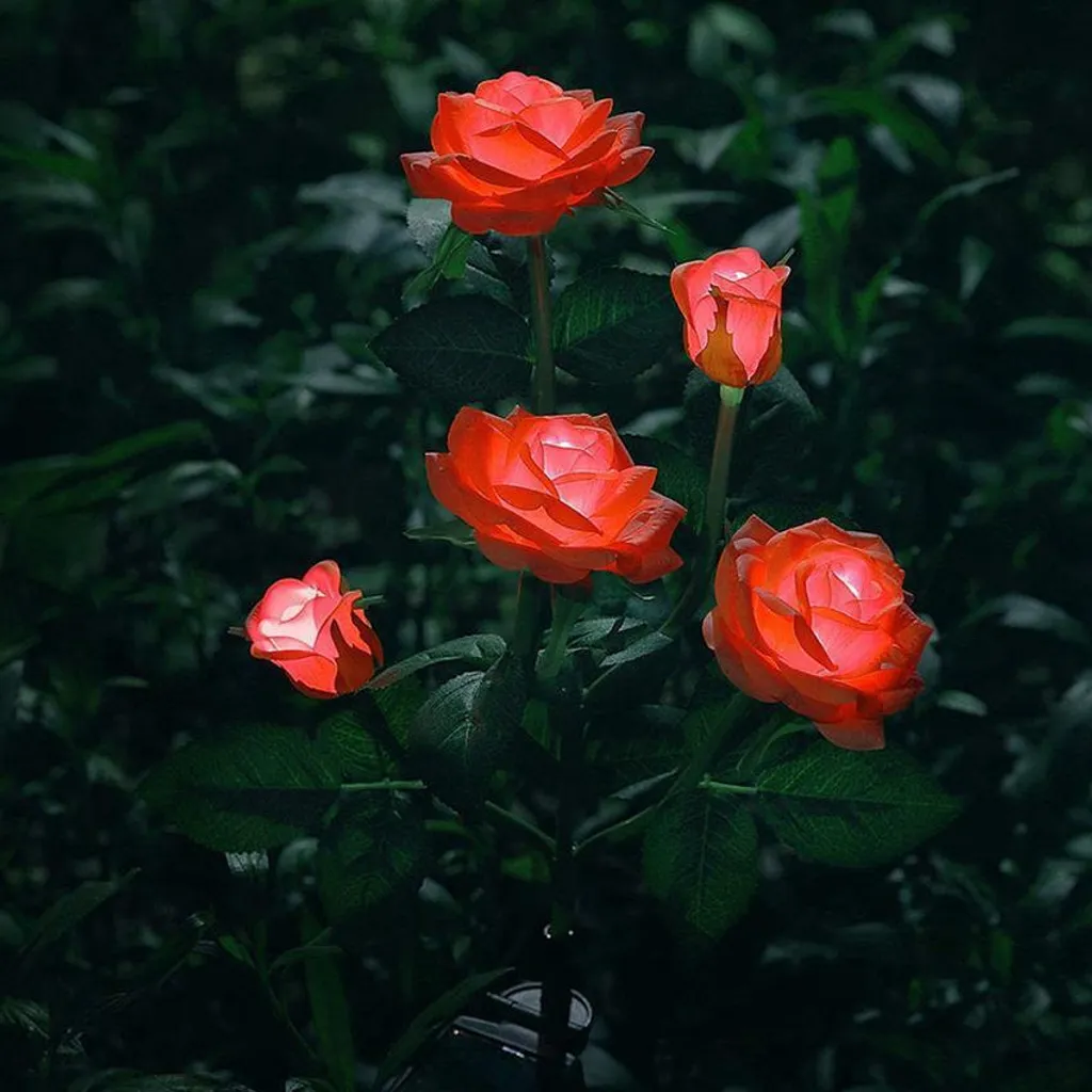Éclairage Solaire Jardin Puissant Rose Rouge Anti-Intempéries sans Câble