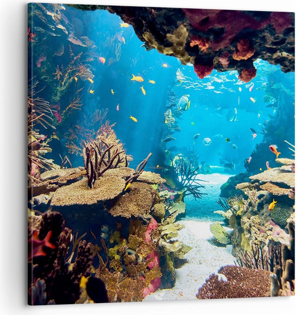 Bild auf Leinwand - Leinwandbild - Ozean Riff Fische Koralle - 60x60cm - Wand Bild - Wanddeko - Leinwanddruck - Bilder - Kunstdruck - Wanddekoratio...