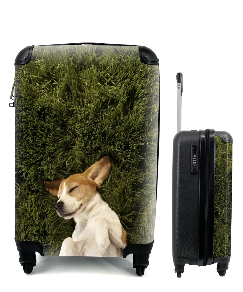 MuchoWow Koffer Handgepäck Trolley Rollkoffer Kleine Reisekoffer mit 4 Rollen - Im Gras schlafender Hund - Cabin Size < 55x40x23 cm & 55x40x20 c...