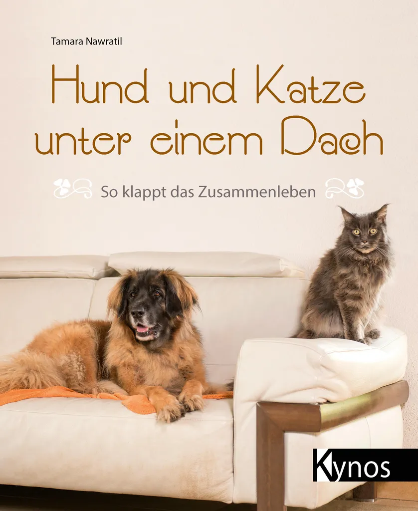 Maisonnette pour chien et chat en bois - Abri intérieur double usage - 2