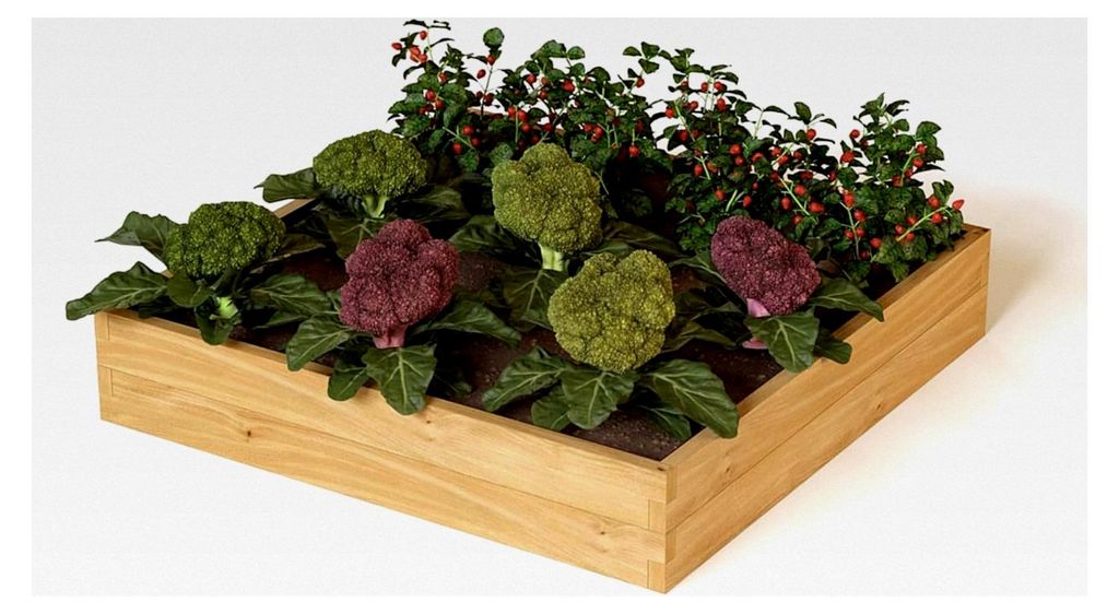 Hochbeet aus Kieferholz 110x110x24 cm Beetrahmen Holz Gartenbeet für Gemüse und Blumen