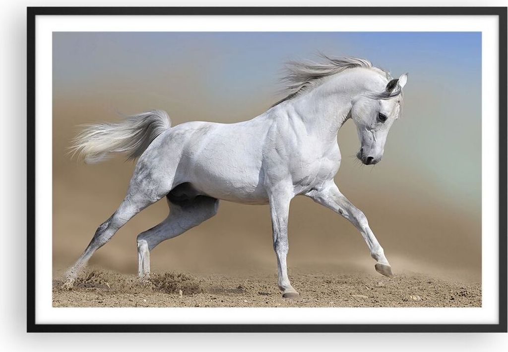 Gerahmtes Poster - Schwarzer Rahmen - Pferd weiß Tier - 91,5x61 cm - Wand Bild - Wanddeko - Wandbilder - Kunstposter - Wandposter - Bilderrahmen -...