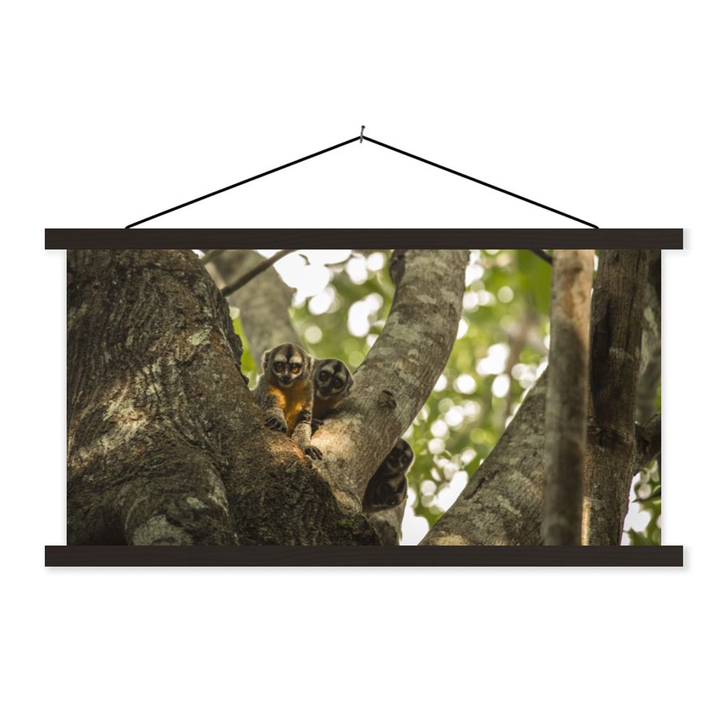 MuchoWow Textilposter Kleine Tiere in einem Baum 90x45 cm mit schwarzem Rahmen - Klemmleisten