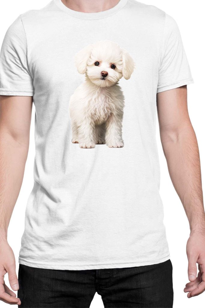 Herren T-Shirt Dogs Breeds Bichon Frise Dog Breed 006, Man XL / Weiß