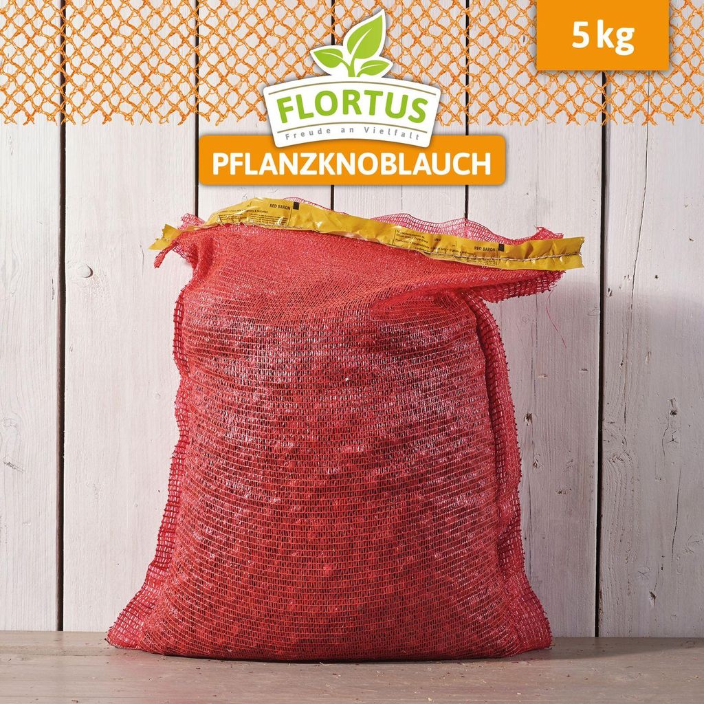 Wintersteckzwiebel Rolein | Steckzwiebeln von FLORTUS, Menge:5 kg
