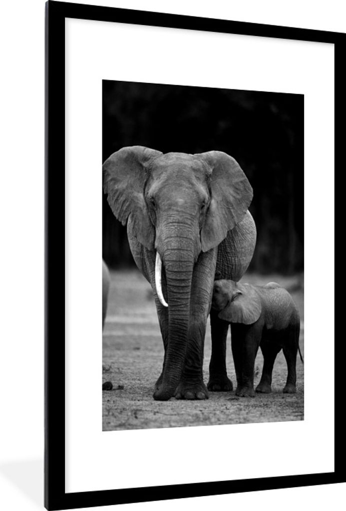 MuchoWow® Gerahmtes Poster Baby-Elefant wird von seiner Produktbild 