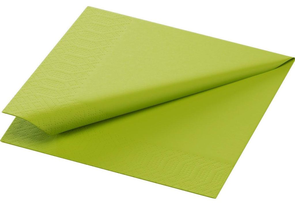 Duni 168398, Seidenpapier, 240 mm, 240 mm, Deutschland, 576 mm, 251 mm