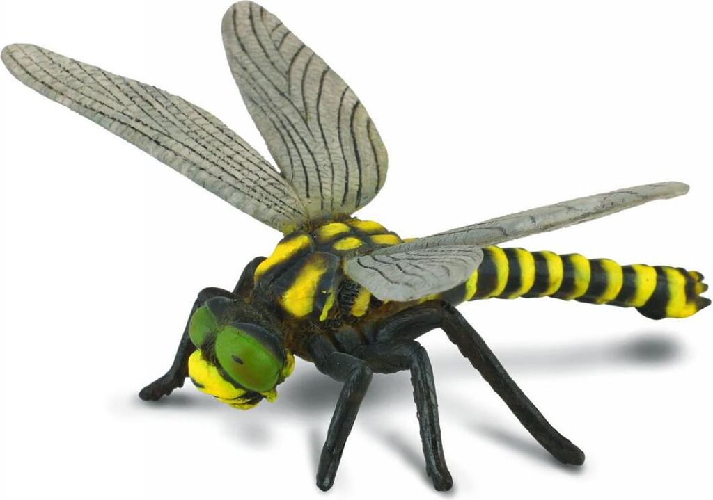 Collecta 88350 Zweigestreifte Quelljungfer Libelle 9 cm Produktbild 