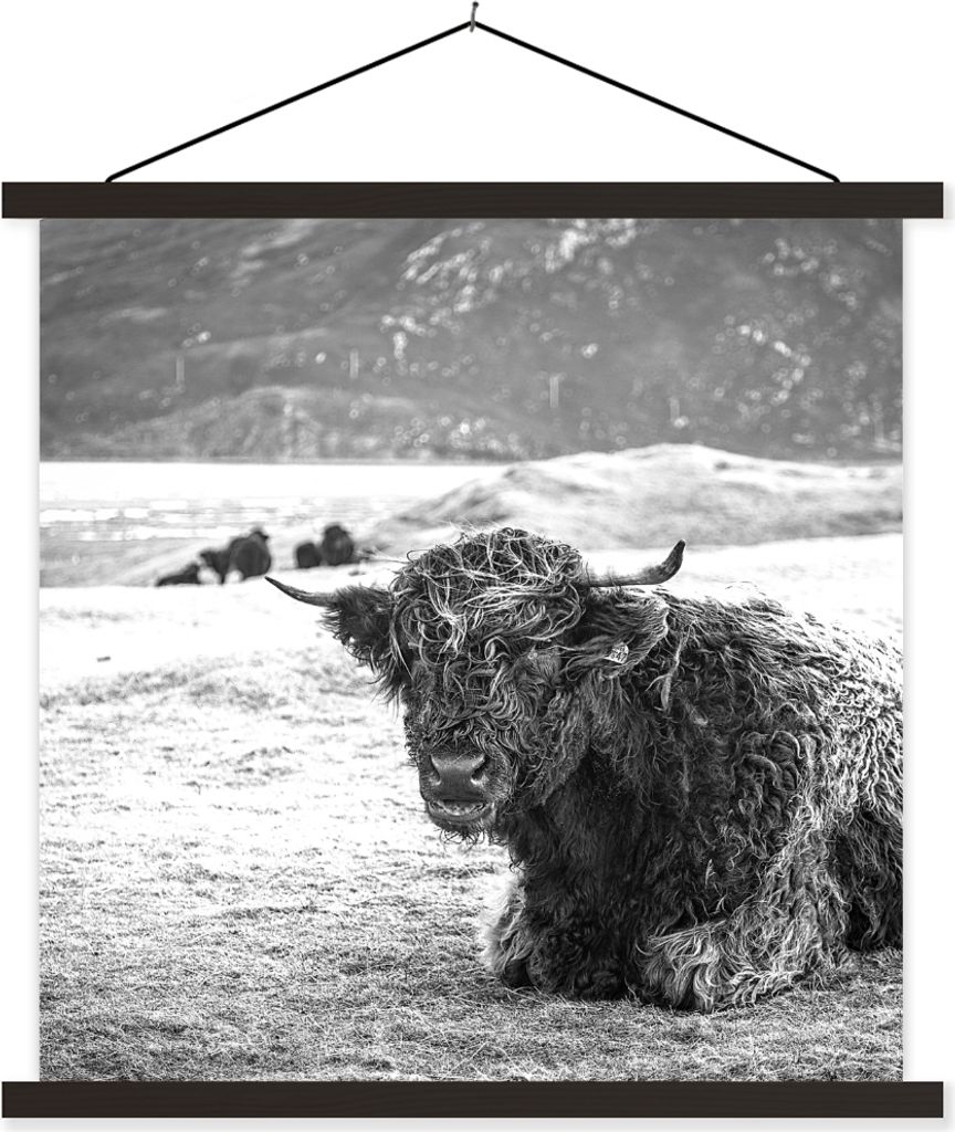 MuchoWow Textilposter Schottisches Hochlandrind - Berg - Tiere 120x120 cm mit schwarzem Rahmen - Aufhängungsset