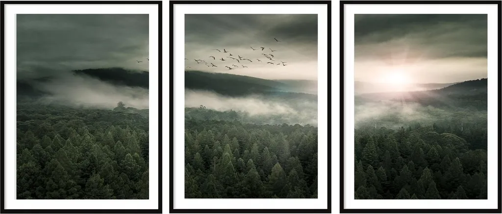Set de 3 Affiches Encadrées Forêt P2036 en 33x43cm avec Vitre de Protection