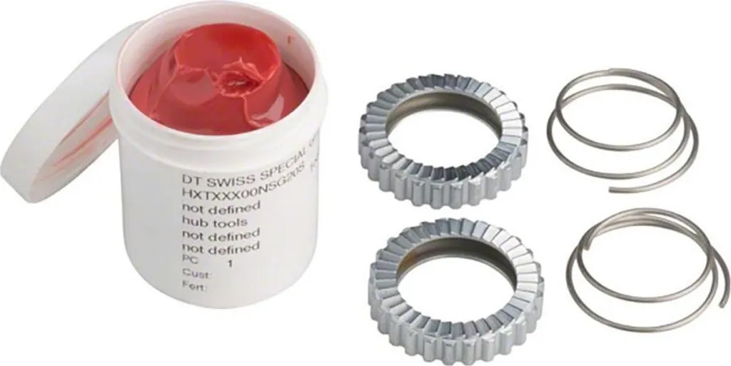 DT Swiss HWTXXX00NSKTFS Kit Entretien Star Ratchet 24 Dents Hügi 240