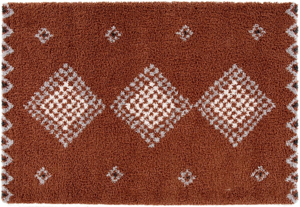 Rikmani Shaggy Teppich, Flauschiger Teppich 160 x 230 cm Weicher Teppich, Wohnzimmer, Schlafzimmer GOY braun
