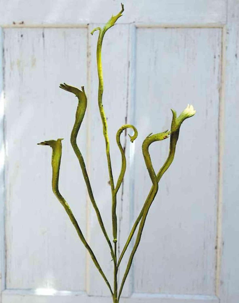 artplants.de Künstlicher Drachenweiden Zweig ADELFOS, grün, 115cm - Kunstzweig Drachenweiden