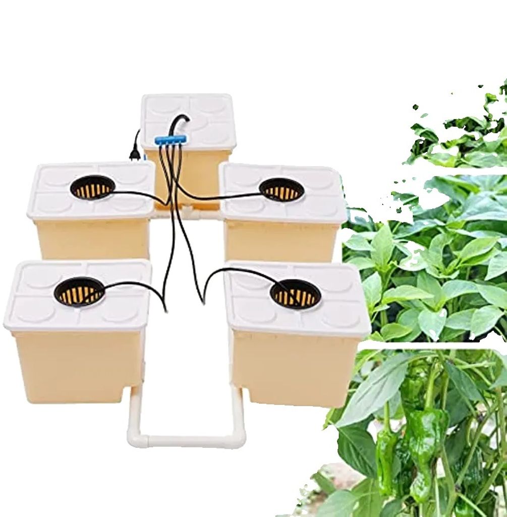A hydroponic growing system with multiple containers and tubing, set against a white background with a blurred image of plants on the right.