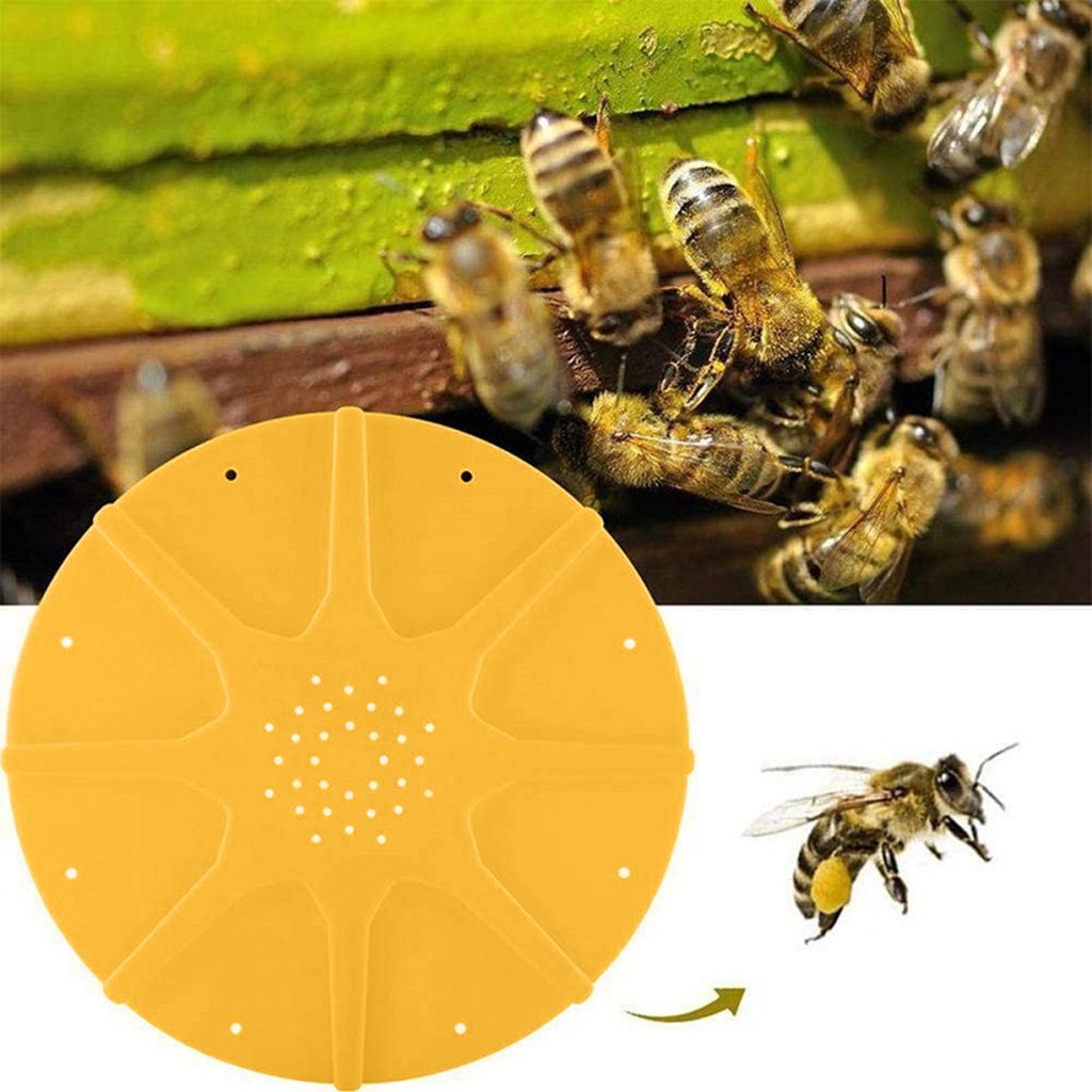 8 Wege entkommen Tür Bienenstocktor runde Scheibenbienenzubehör Bienenausrüstung Ausrüstung