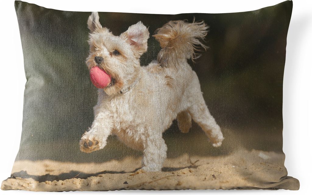 MuchoWow Outdoor Kissen - Ein Malteser mit einem roten Ball - 60x40 cm - Wetterfest - Lounge Kissen - Zierkissen - Kissen für Innenräume