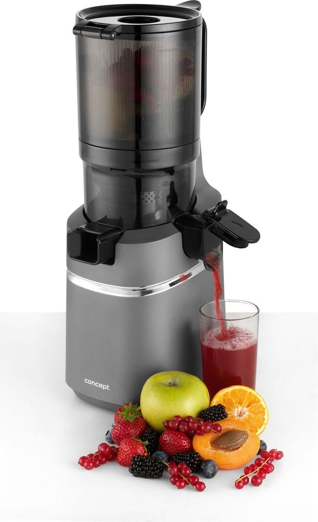 Slow Juicer JUICY 250 W Concept LO7120
