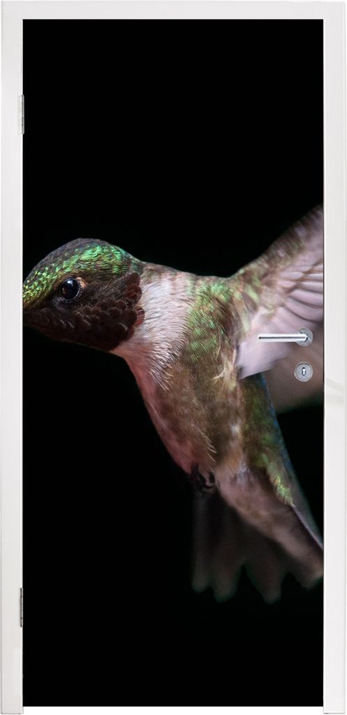 MuchoWow Türtapete Selbstklebende Türfolie Rubinkehl-Kolibri auf schwarzem Hintergrund 90x235 cm Türposter Türaufkleber Klebefolie Türklebef...