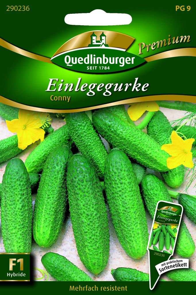 Quedlinburger Saatgut - Einlegegurken Conny - Samen - Produktbild 