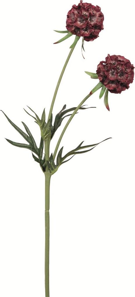 Fink SCABIOSA, Kunstblume, Kunstfasern, dunkelrot, L. 10 cm, B. 10 cm, H. 55 cm 181005