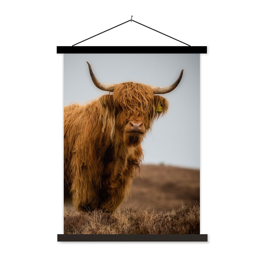 MuchoWow Textilposter Schottischer Highlander - Düne - Gras 60x80 cm mit schwarzem Rahmen - Plakathalter