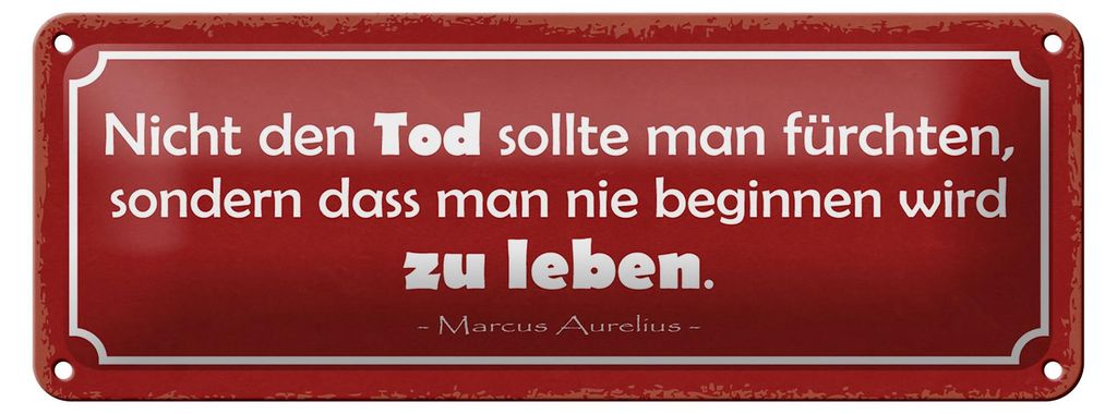 Blechschild Spruch 27x10cm Tod sollte man nicht fürchten Dekoration