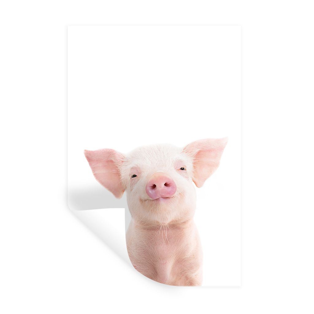 MuchoWow Wandtattoo Wandsticker Wandaufkleber Schwein - Rosa - Tiere - Natur 40x60 cm Selbstklebend und Repositionierbar - Wierderverwendbar - Se...