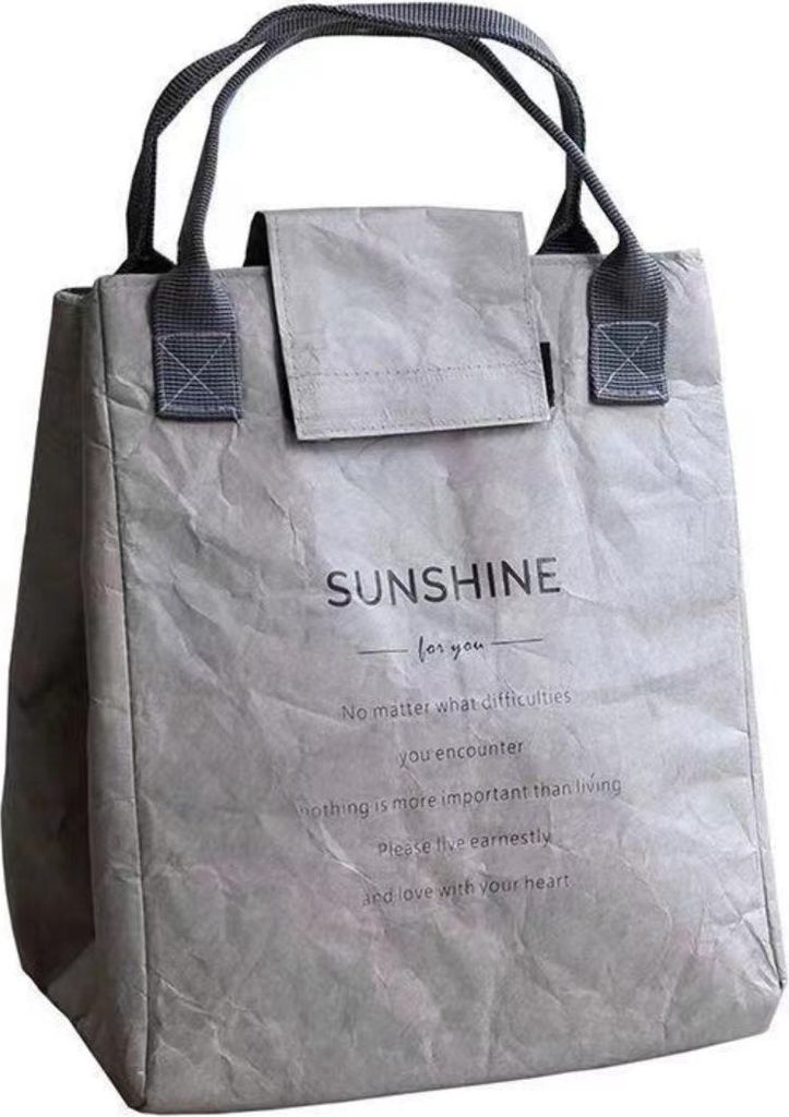 INF DuPont Papier Isolierte Lunchbag Tyvek Folienfutter Leichter Thermo Tote 21x20x18cm Grau