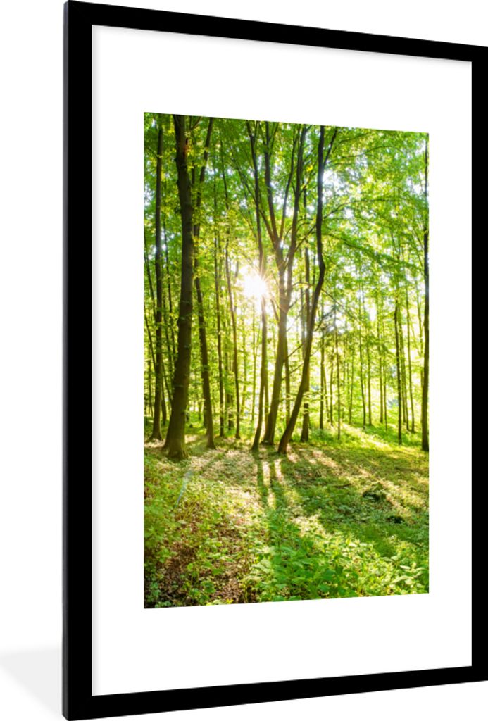 MuchoWow Gerahmtes Poster Natur - Bäume - Wald - Grün - Sonnenlicht 60x90 cm - Poster mit Schwarzem Bilderrahmen Wandposter Rahmen Foto Bilder ...