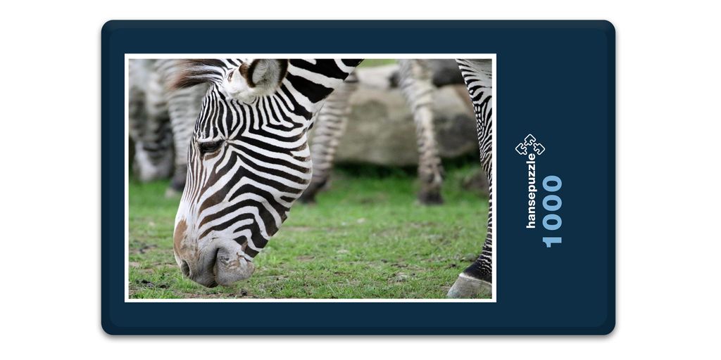 hansepuzzle 10307 - Zebra Puzzle, 1000 Teile, Natur, 60,0 x 46,0cm mit hochwertiger Aufbewahrung, Kartonbox und wiederverschließbarem Beutel