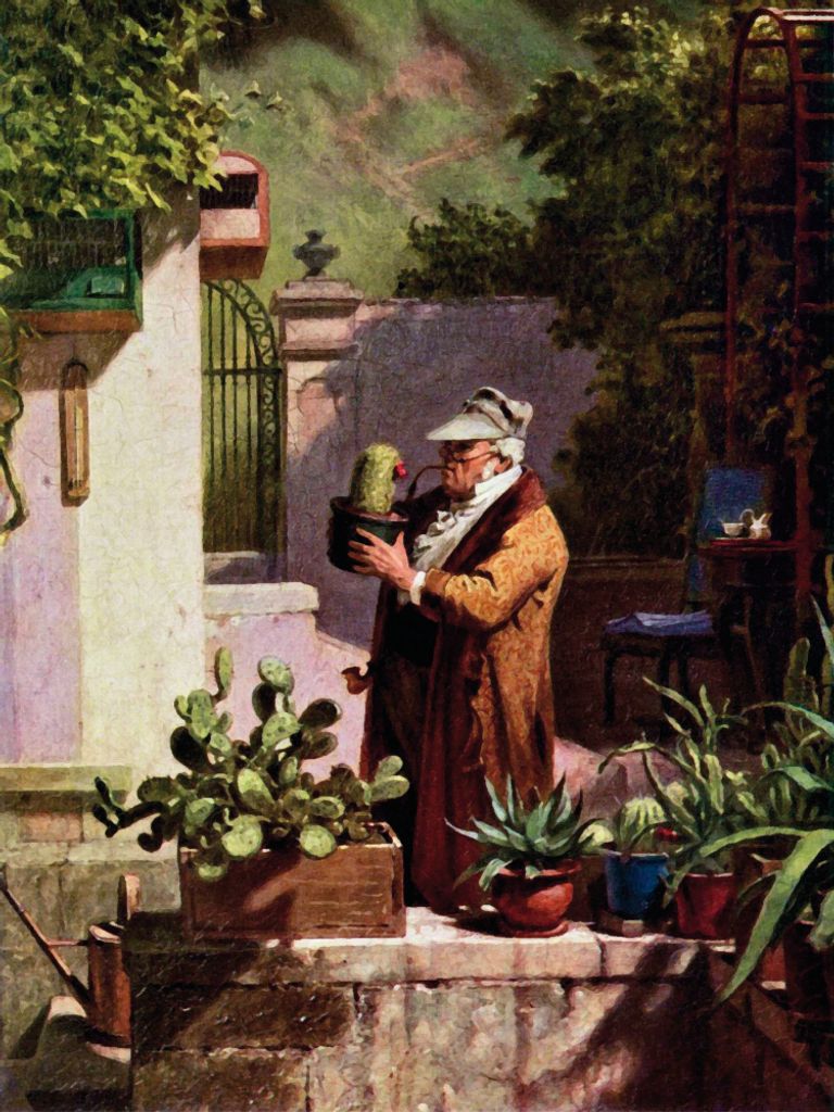 Carl Spitzweg Kunstdruck Bild - Der Kaktusfreund, 1857 (80 Produktbild 