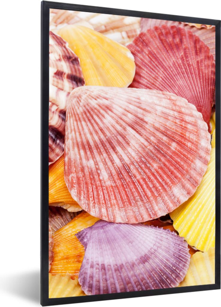 MuchoWow Gerahmtes Poster Muscheln - Rot - Gelb - Strand - Sommer 20x30 cm - Poster mit Schwarzem Bilderrahmen Wandposter Rahmen Foto Bilder - Dr...