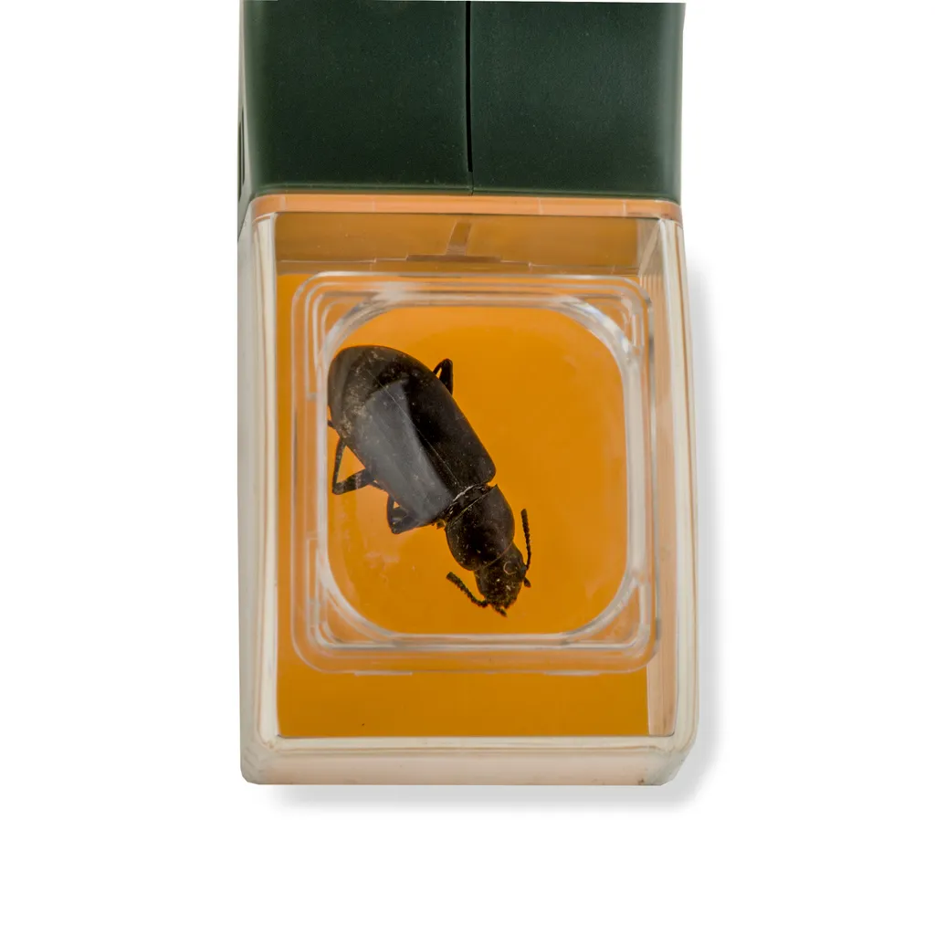 Attrape-insectes long 27cm avec mécanisme de capture douce vert orange