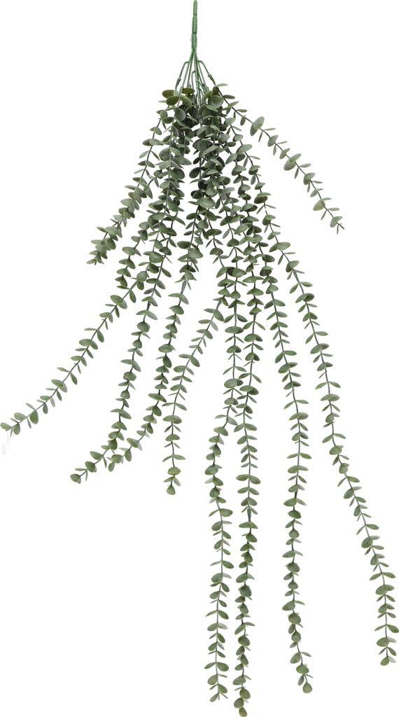 Künstliche hängende Eukalyptus-Pflanze