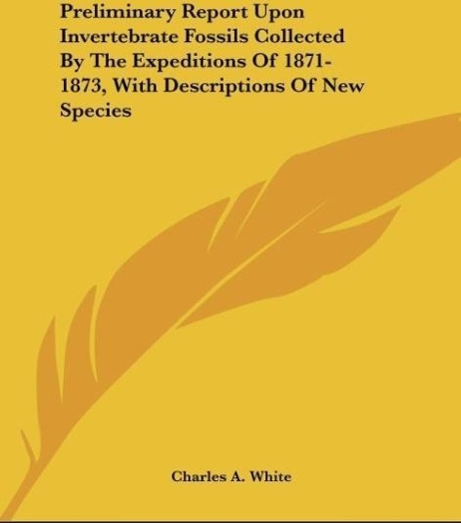 Preliminary Report Upon Invertebrate Fossils Collected By The Expeditions Of 1871-1873, With Descriptions Of New Species
