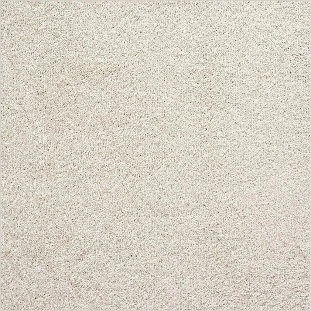 Tapis Velours Ultra Blanc Carré 200x200 cm - Douceur Premium pour Salon