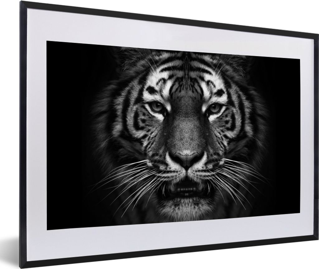 MuchoWow Gerahmtes Poster Tiger - Tiere - Schwarz - Weiß - Porträt - Wild 60x40 cm - Poster mit Schwarzem Bilderrahmen Wandposter Rahmen Foto B...