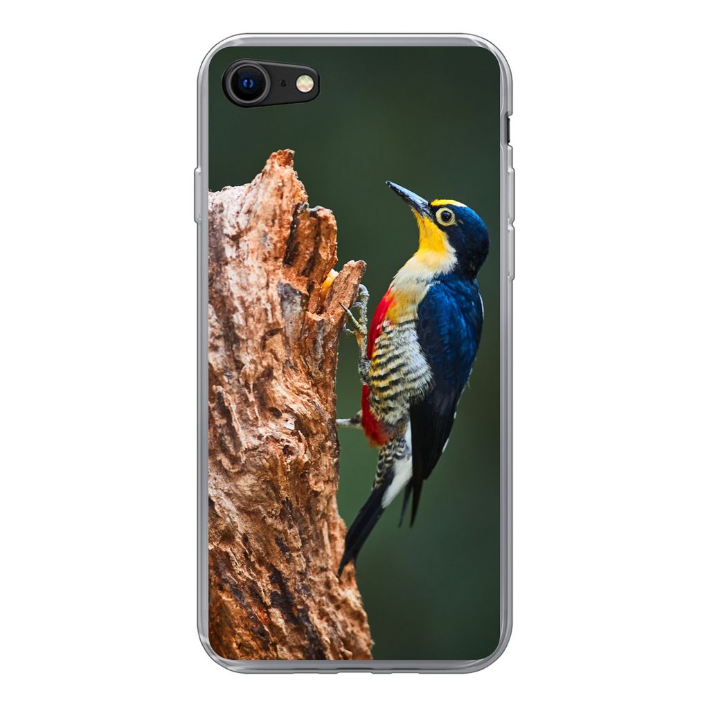 MuchoWow Handyhülle Schutzhülle Hülle für iPhone 7 Nahaufnahme eines bunten Vogels auf der Seite eines Baumstamms Silikon Softcase Handy Hül...