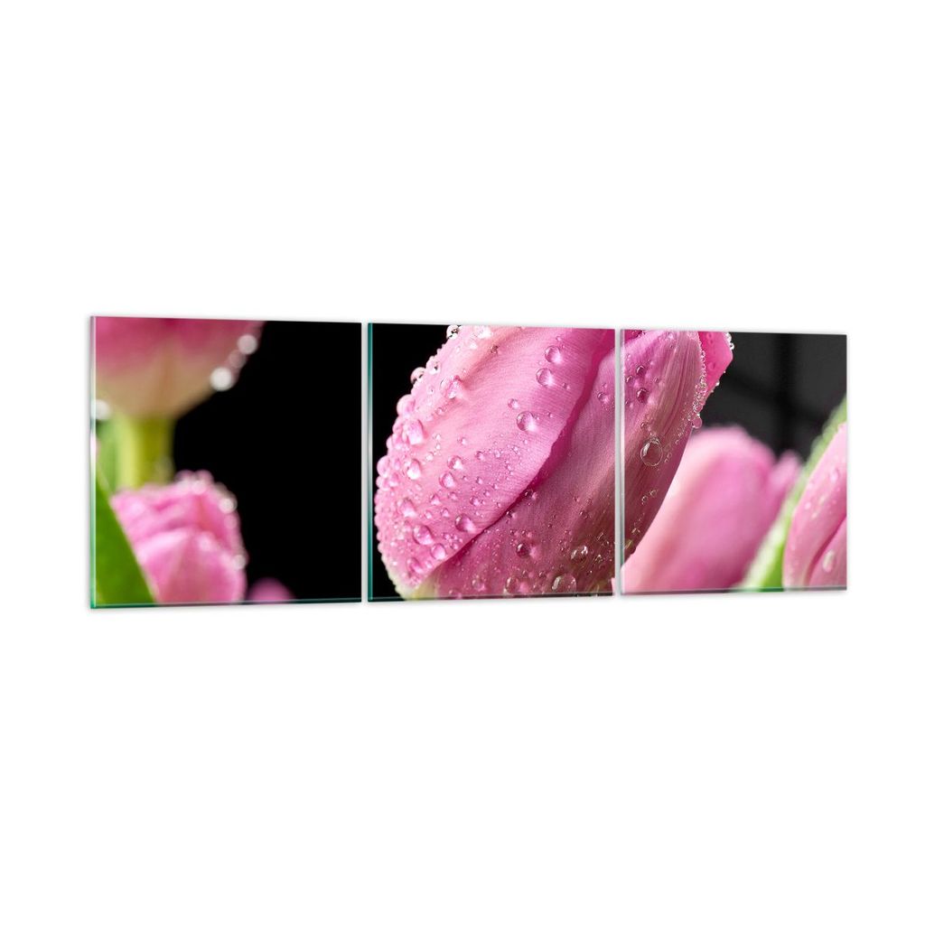 Bilder auf glas - Tulpe Blumen Tau - 120x40cm - Glasbilder - Wandbilder - Kunstdruck - zum Aufhängen bereit - Wanddekoration aus Glas - Glas Bilde...