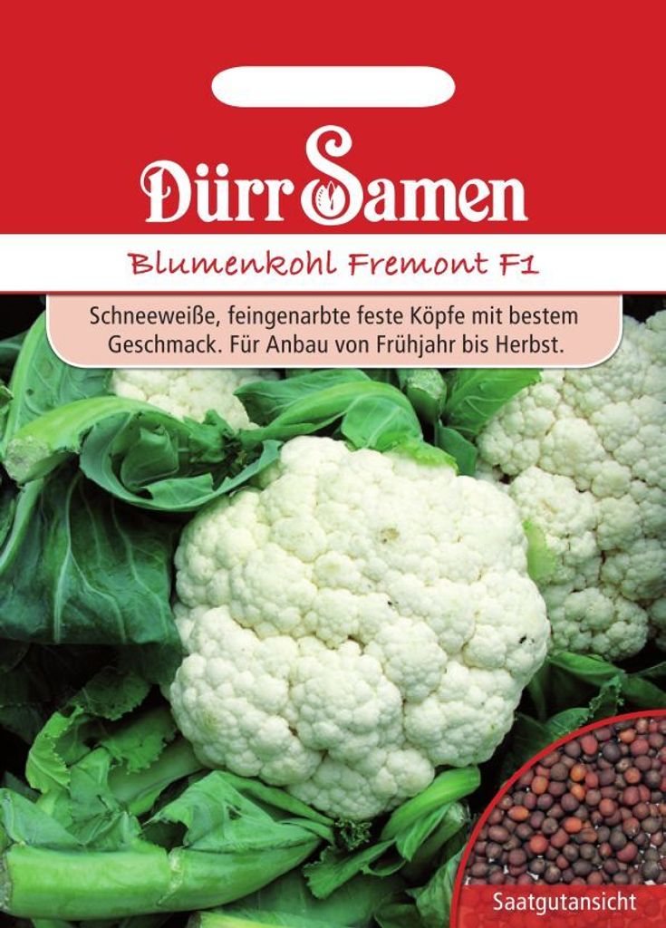 Dürr-Samen - Blumenkohl Fremont F1 - Saatgut - 1981