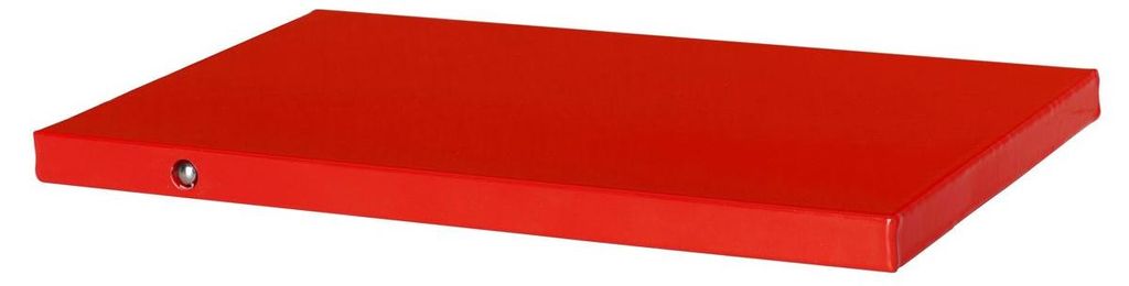 5x DUNIFORM Wärmeplatte 1/4 GN Rot