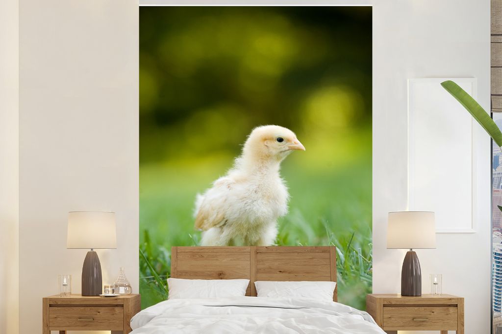 MuchoWow Fototapete für Wohnzimmer oder Schlafzimmer Wandtapete Vinyl Motivtapete Niedliches kleines Küken im grünen Gras - 160x240 cm - Vinyl...