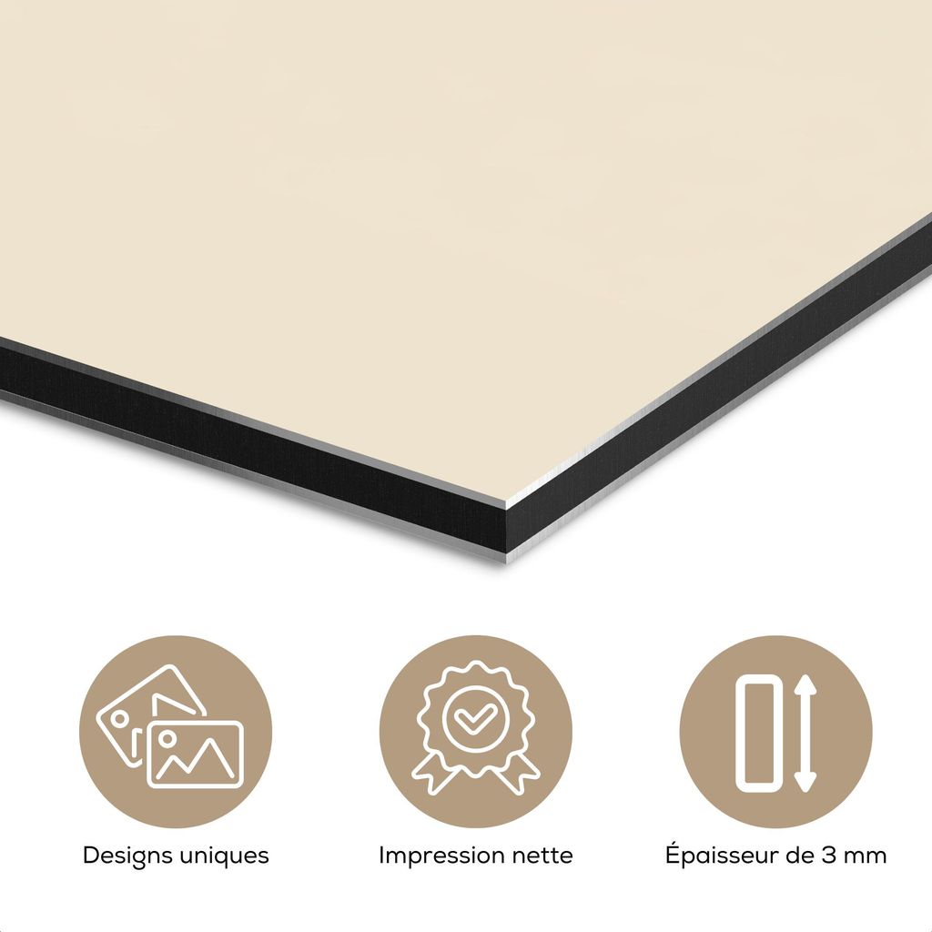 MuchoWow Wanddekoration Metall Metallbild Wandkunst 40x30 cm Minimalistisch - Wassereis - Stick - Beige MuchoWow Aluminium Gemälde - Dekoration Wo...