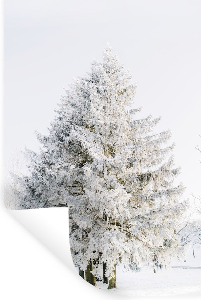 MuchoWow Wandtattoo Wandsticker Wandaufkleber Winter - Baum - Schnee - Kiefer - Weiß 60x90 cm Selbstklebend und Repositionierbar - Sticker - Dek...