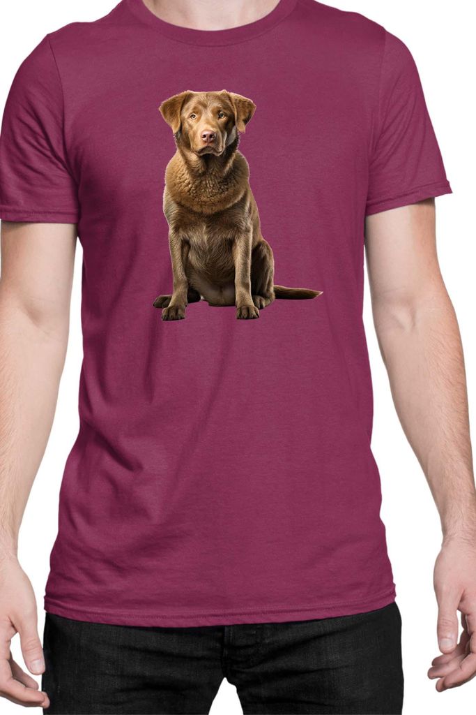 Herren T-Shirt Dogs Breeds Chesapeake Bay Retriever Dog Breed 007, Man S / Burgundy