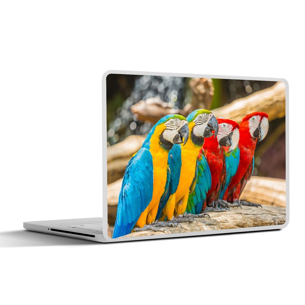 MuchoWow Laptop Aufkleber Sticker Cover Vögel - Papagei - Tropisch - Natur 32.5x23.5 cm - Sticker für Laptop - Selbstklebend