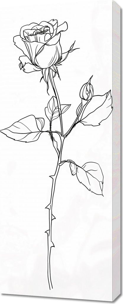 Bild 40x100cm Kontur der Rose